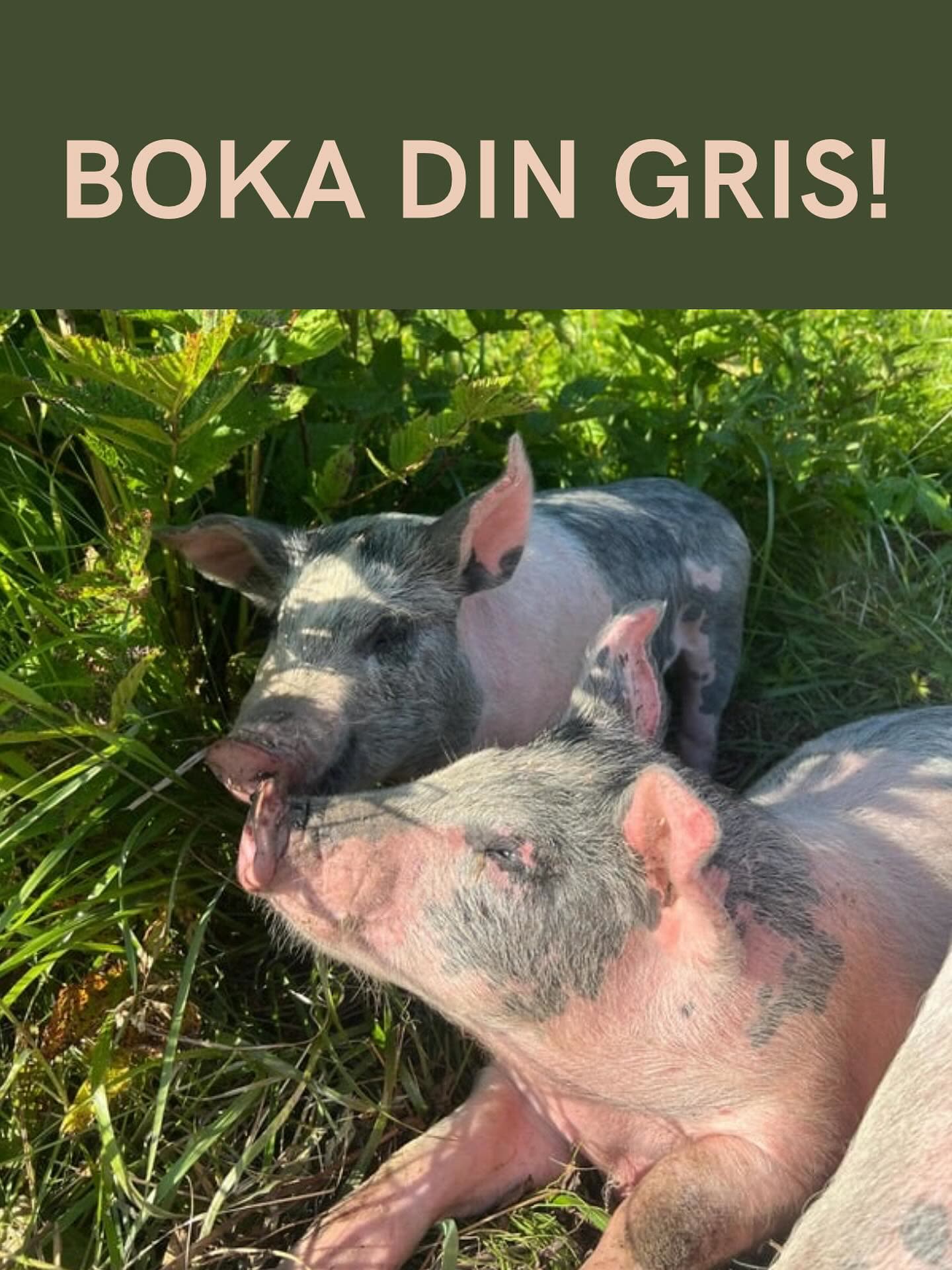 Bokningen öppnar