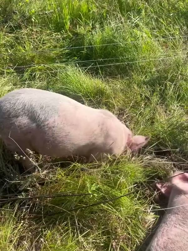 Ännu en solig dag