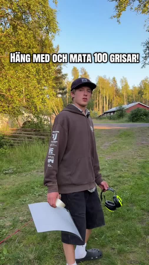 Häng med och mata hundra grisar
